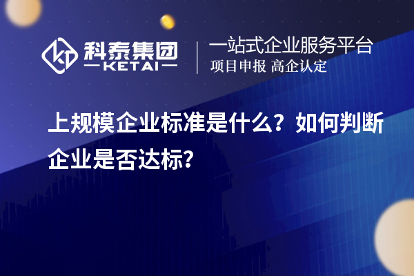 上規(guī)模企業(yè)標(biāo)準(zhǔn)是什么？如何判斷企業(yè)是否達(dá)標(biāo)？