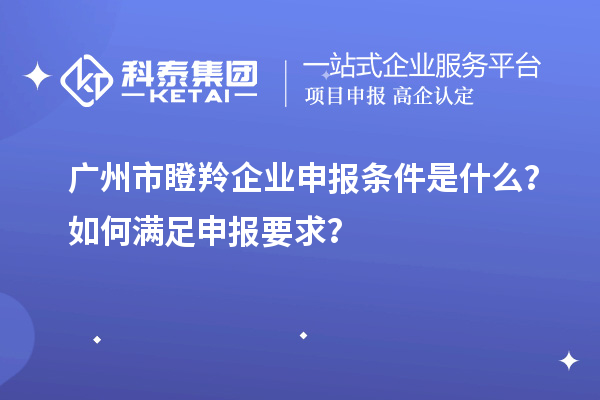 廣州市瞪羚企業(yè)申報條件是什么？如何滿足申報要求？