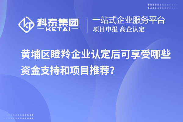 黃埔區(qū)瞪羚企業(yè)認定后可享受哪些資金支持和項目推薦？