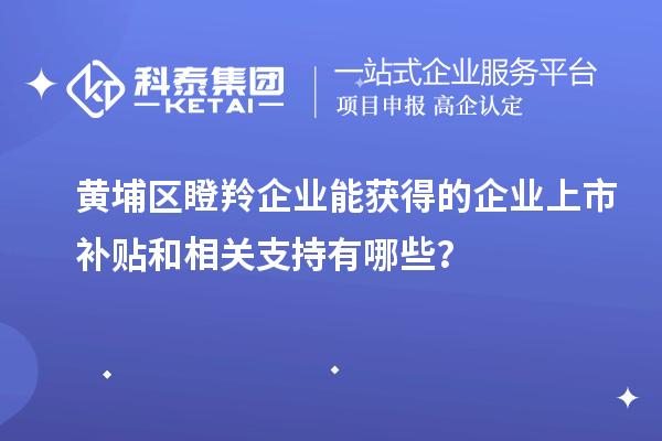 黃埔區(qū)瞪羚企業(yè)能獲得的企業(yè)上市補(bǔ)貼和相關(guān)支持有哪些？