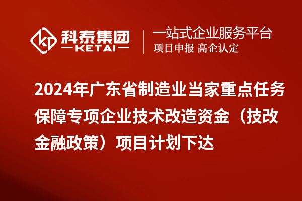2024年廣東省制造業(yè)當(dāng)家重點任務(wù)保障專項企業(yè)技術(shù)改造資金（技改金融政策）項目計劃下達