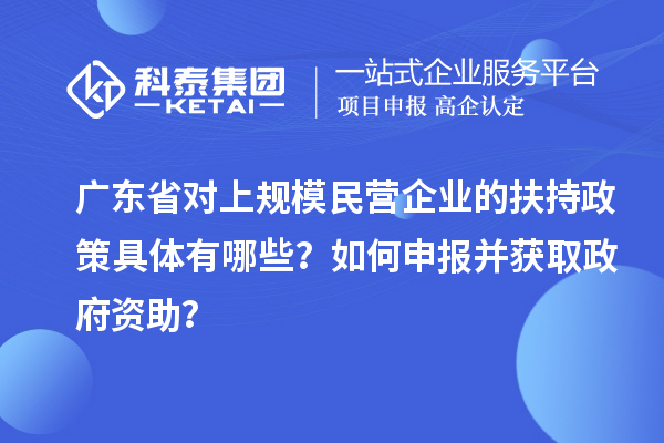 廣東省對(duì)上規(guī)模民營(yíng)企業(yè)的扶持政策具體有哪些？如何申報(bào)并獲取政府資助？