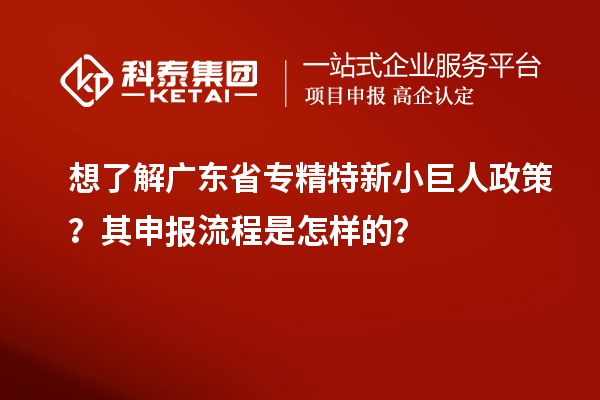 想了解廣東省專精特新小巨人政策？其申報流程是怎樣的？