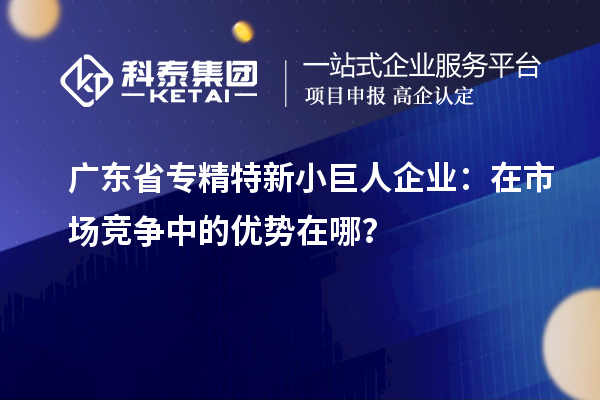 廣東省專精特新小巨人企業(yè)：在市場競爭中的優(yōu)勢在哪？