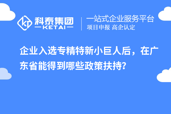 企業(yè)入選專精特新小巨人后，在廣東省能得到哪些政策扶持？