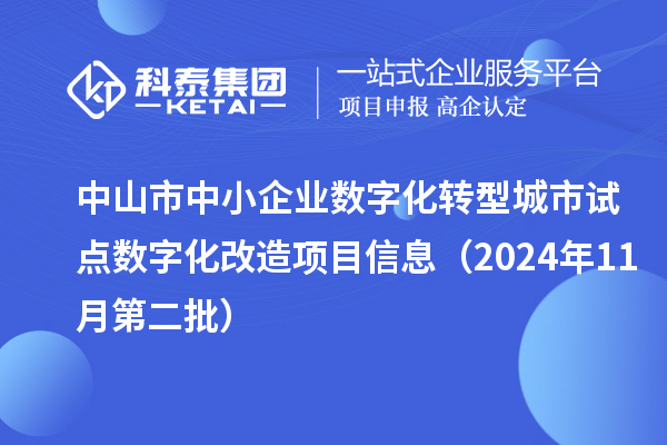 中山市中小企業(yè)數(shù)字化轉型城市試點數(shù)字化改造項目信息（2024年11月第二批）