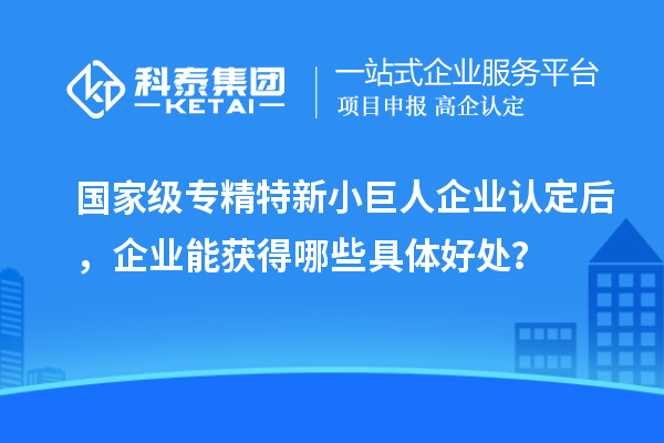 國(guó)家級(jí)專精特新小巨人企業(yè)認(rèn)定后,企業(yè)能獲得哪些具體好處?