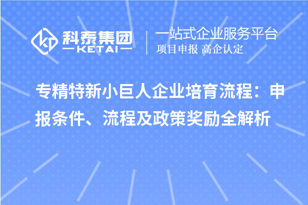 專精特新小巨人企業(yè)培育流程：申報(bào)條件、流程及政策獎(jiǎng)勵(lì)全解析