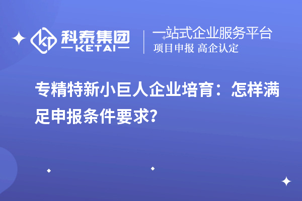 專精特新小巨人企業(yè)培育：怎樣滿足申報條件要求？