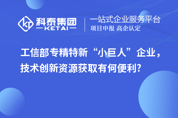 工信部專精特新 “小巨人” 企業(yè)，技術(shù)創(chuàng)新資源獲取有何便利?