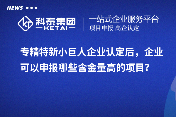 專精特新小巨人企業(yè)認定后，企業(yè)可以申報哪些含金量高的項目？