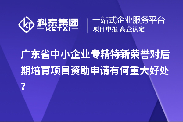 廣東省中小企業(yè)專精特新榮譽對后期培育項目資助申請有何重大好處？