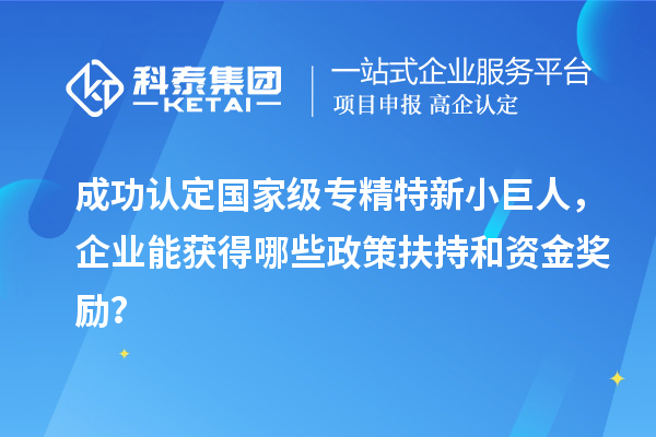 成功認(rèn)定國(guó)家級(jí)專精特新小巨人，企業(yè)能獲得哪些政策扶持和資金獎(jiǎng)勵(lì)？