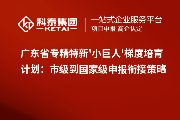 廣東省專精特新'小巨人'梯度培育計劃:市級到國家級申報銜接策略