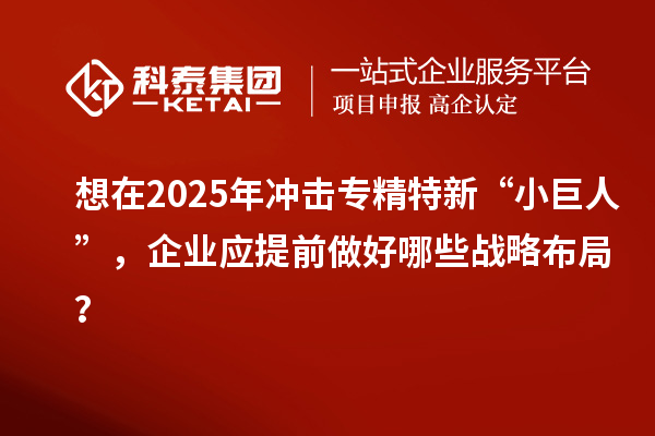 想在2025年沖擊專精特新 “小巨人”，企業(yè)應(yīng)提前做好哪些戰(zhàn)略布局？
