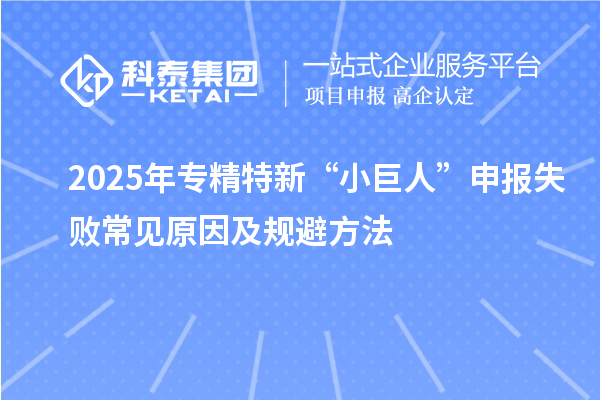 2025年專精特新“小巨人”申報失敗常見原因及規(guī)避方法