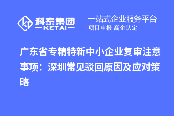 廣東省專精特新中小企業(yè)復審注意事項:深圳常見駁回原因及應對策略