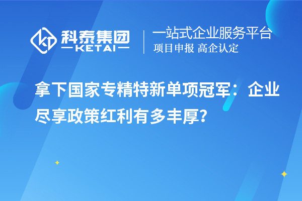 拿下國(guó)家專精特新單項(xiàng)冠軍：企業(yè)盡享政策紅利有多豐厚？