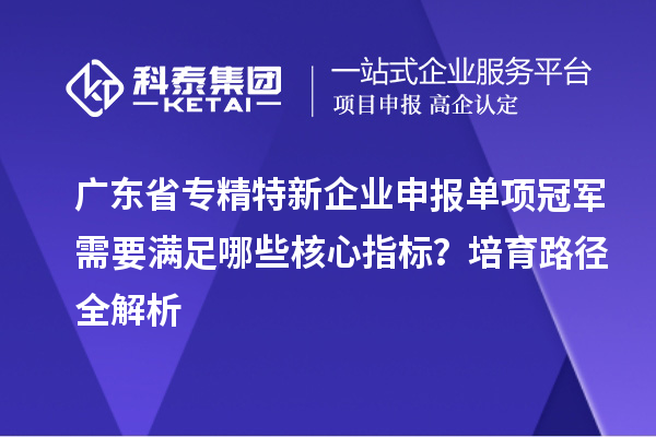 廣東省專精特新企業(yè)申報(bào)單項(xiàng)冠軍需要滿足哪些核心指標(biāo)？培育路徑全解析