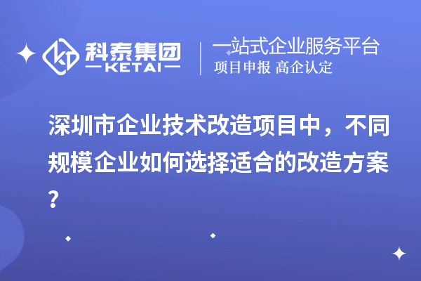 深圳市企業(yè)技術(shù)改造項(xiàng)目中，不同規(guī)模企業(yè)如何選擇適合的改造方案？