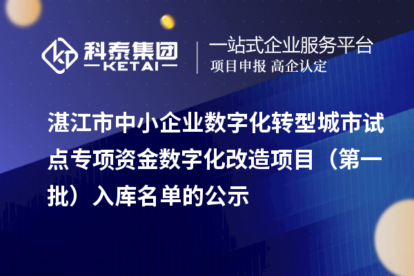 湛江市中小企業(yè)數(shù)字化轉(zhuǎn)型城市試點專項資金數(shù)字化改造項目（第一批）入庫名單的公示