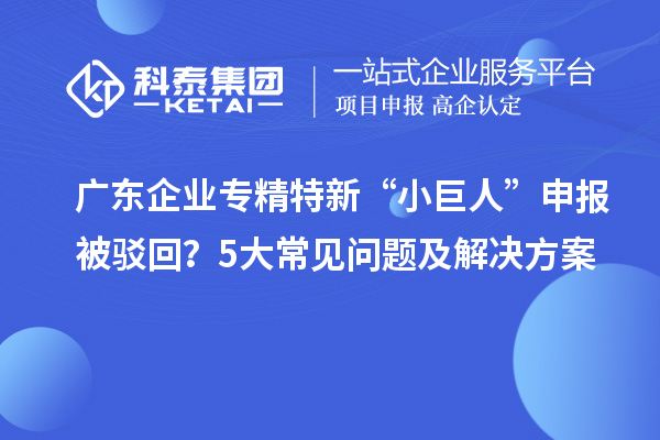 廣東企業(yè)專精特新“小巨人”申報(bào)被駁回？5大常見問題及解決方案