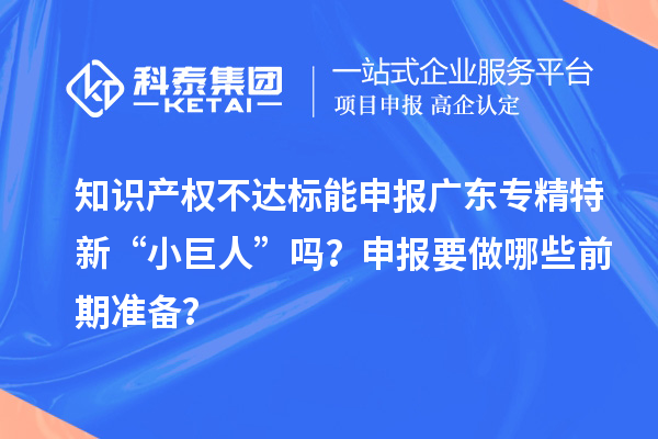 知識產權不達標能申報廣東專精特新“小巨人”嗎？申報要做哪些前期準備？