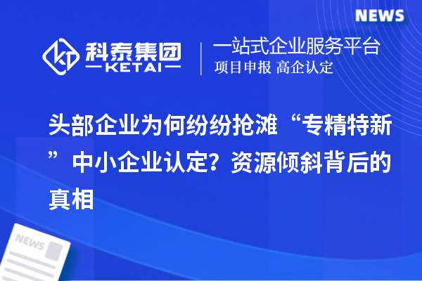 頭部企業(yè)為何紛紛搶灘“專精特新”中小企業(yè)認(rèn)定？資源傾斜背后的真相