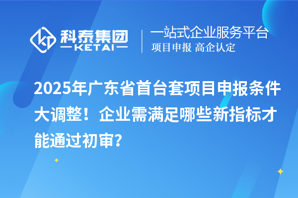 2025年廣東省首臺套項目申報條件大調整！企業(yè)需滿足哪些新指標才能通過初審？