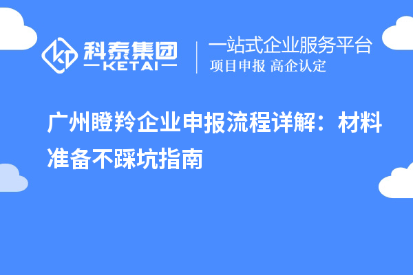 廣州瞪羚企業(yè)申報(bào)流程詳解：材料準(zhǔn)備不踩坑指南