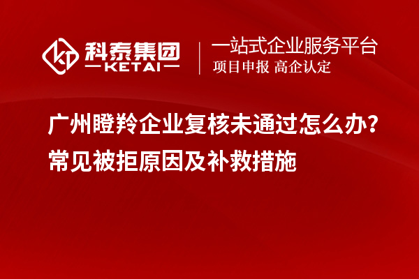 廣州瞪羚企業(yè)復(fù)核未通過怎么辦？常見被拒原因及補(bǔ)救措施