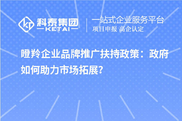 瞪羚企業(yè)品牌推廣扶持政策：政府如何助力市場拓展？