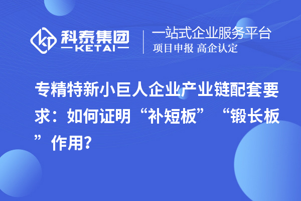 專精特新小巨人企業(yè)產(chǎn)業(yè)鏈配套要求：如何證明“補短板”“鍛長板”作用？