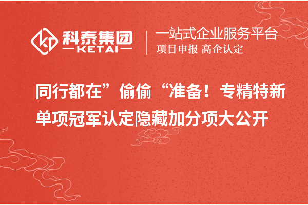 同行都在” 偷偷 “準(zhǔn)備！專精特新單項(xiàng)冠軍認(rèn)定隱藏加分項(xiàng)大公開