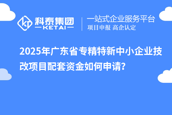 2025年廣東省專精特新中小企業(yè)技改項(xiàng)目配套資金如何申請(qǐng)?