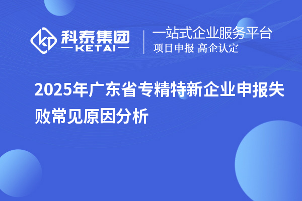 2025年廣東省專精特新企業(yè)申報(bào)失敗常見原因分析
