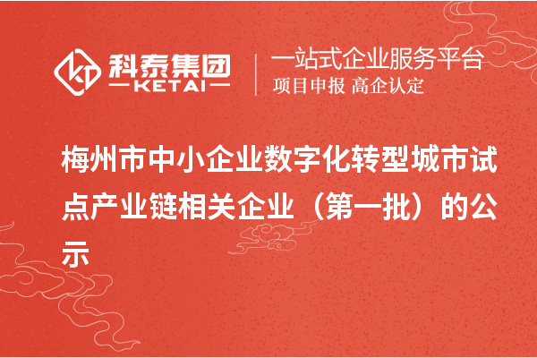 梅州市中小企業(yè)數(shù)字化轉(zhuǎn)型城市試點(diǎn)產(chǎn)業(yè)鏈相關(guān)企業(yè)（第一批）的公示