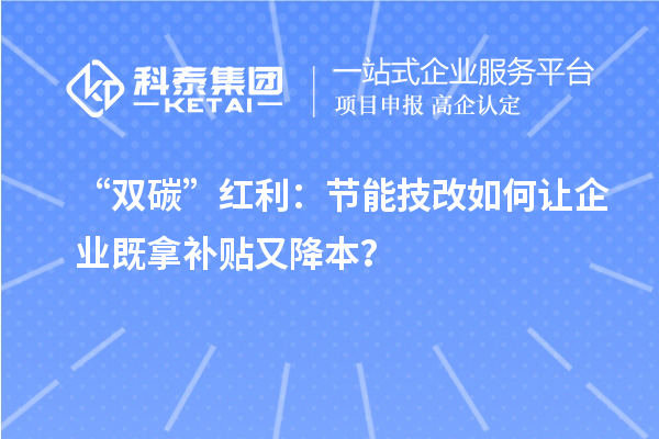 “雙碳”紅利:節(jié)能技改如何讓企業(yè)既拿補(bǔ)貼又降本?
