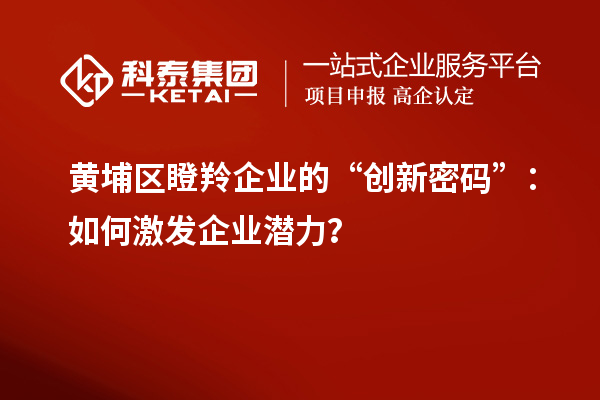 黃埔區(qū)瞪羚企業(yè)的“創(chuàng)新密碼”：如何激發(fā)企業(yè)潛力？