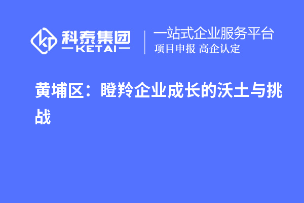 黃埔區(qū)：瞪羚企業(yè)成長(zhǎng)的沃土與挑戰(zhàn)