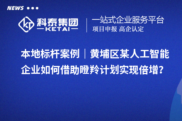 本地標(biāo)桿案例｜黃埔區(qū)某人工智能企業(yè)如何借助瞪羚計(jì)劃實(shí)現(xiàn)倍增？