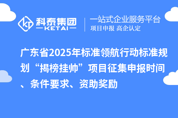 廣東省2025年標準領航行動標準規(guī)劃“揭榜掛帥”項目征集申報時間、條件要求、資助獎勵