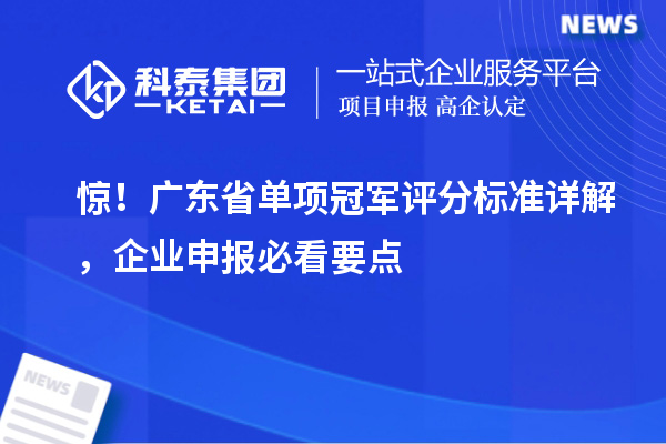 驚！廣東省單項冠軍評分標準詳解，企業(yè)申報必看要點