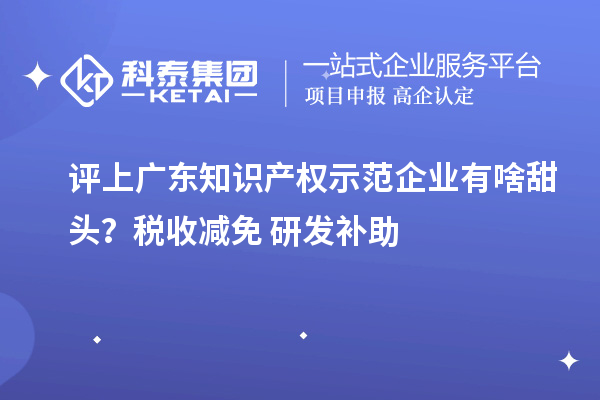 評(píng)上廣東知識(shí)產(chǎn)權(quán)示范企業(yè)有啥甜頭？稅收減免+研發(fā)補(bǔ)助