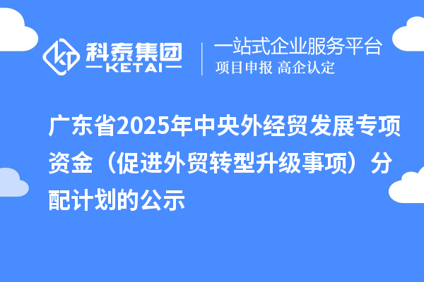 廣東省2025年中央外經(jīng)貿(mào)發(fā)展專項資金（促進(jìn)外貿(mào)轉(zhuǎn)型升級事項）分配計劃的公示