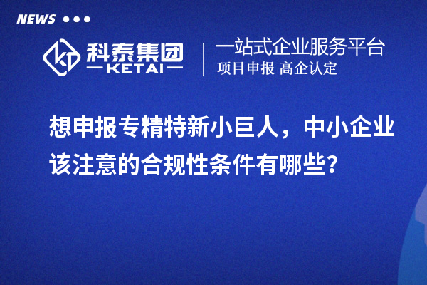想申報專精特新小巨人，中小企業(yè)該注意的合規(guī)性條件有哪些？