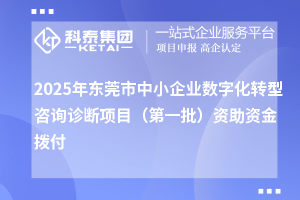 2025年東莞市中小企業(yè)數(shù)字化轉(zhuǎn)型咨詢診斷項目(第一批)資助資金撥付