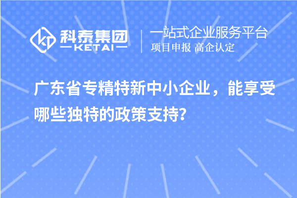 廣東省專精特新中小企業(yè)，能享受哪些獨(dú)特的政策支持？