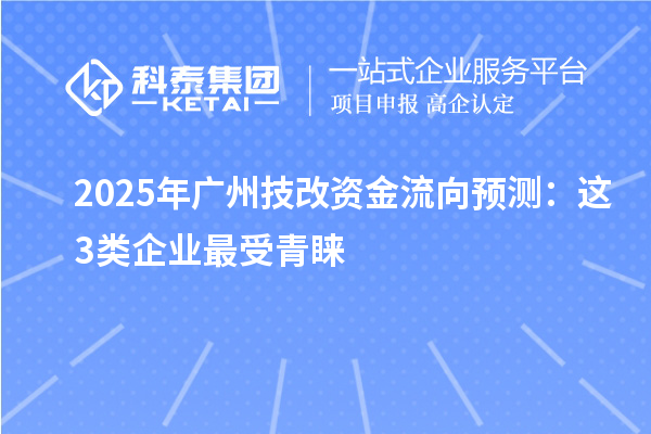 2025年廣州技改資金流向預(yù)測(cè)：這3類企業(yè)最受青睞
