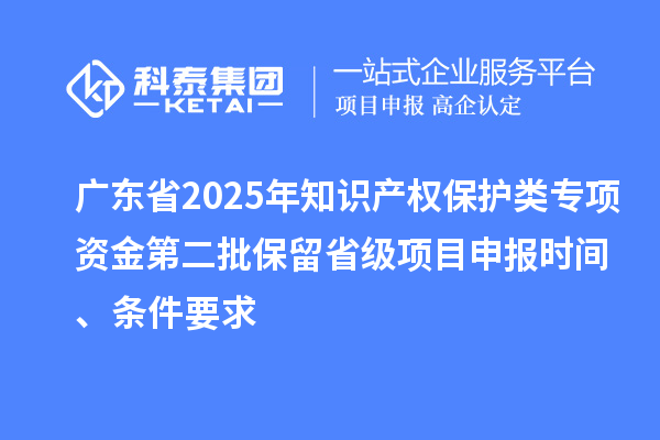 廣東省2025年知識產(chǎn)權保護類專項資金第二批保留省級項目申報時間、條件要求
